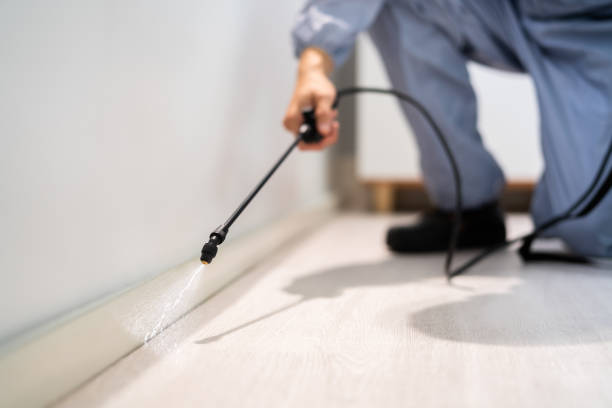 Licensed Termite Control service in Mountain Lakes, NJ - Nex Pest Control