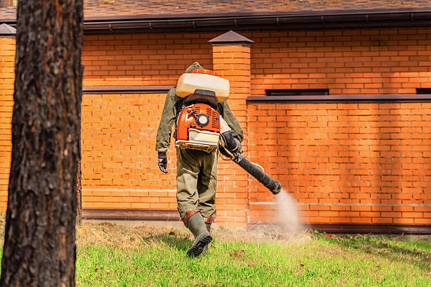 Trusted Termite Control service in Mountain Lakes, NJ - Nex Pest Control